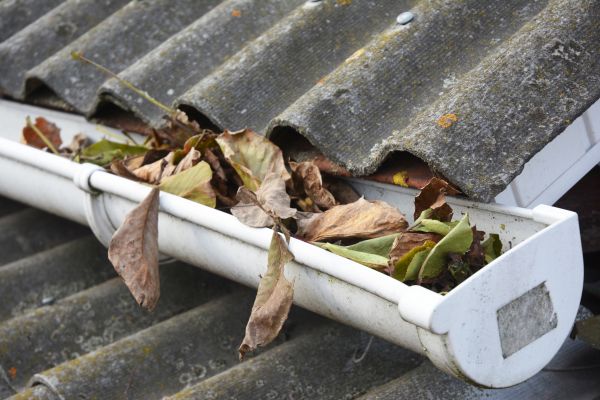North Charleston Gutter Cleaning